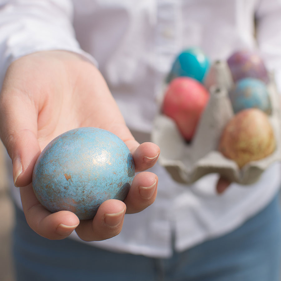 Lege nie alle Eier in einen Korb